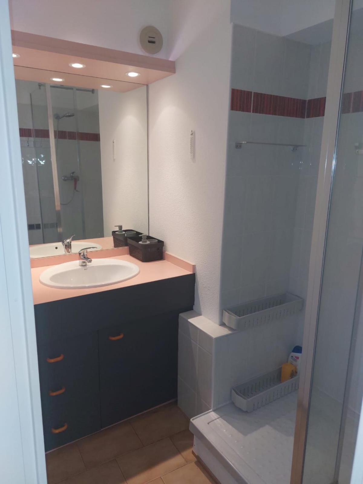 Joli Studio Avec Piscine A 200M De La Plage Parking Prive 라그랑모트 외부 사진